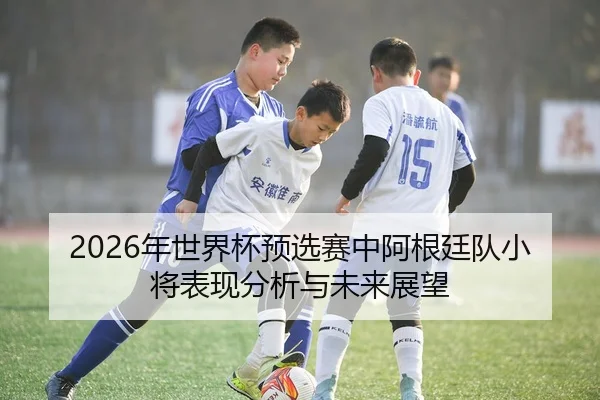 2026年世界杯预选赛中阿根廷队小将表现分析与未来展望